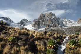 Mount Kenya National Park