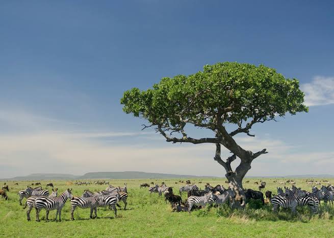 Serengeti National Park